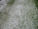 kroupy na trávníku z bouřky , která se přehnala v 11.6.2010 v 18:30 hod 6 cm